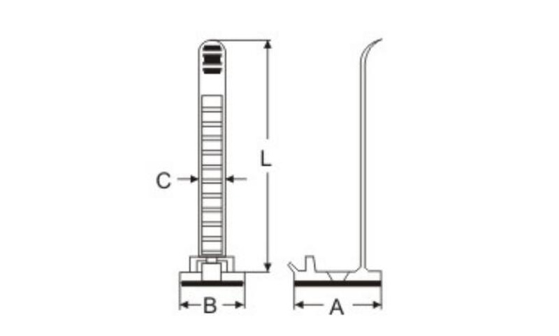 plane figure