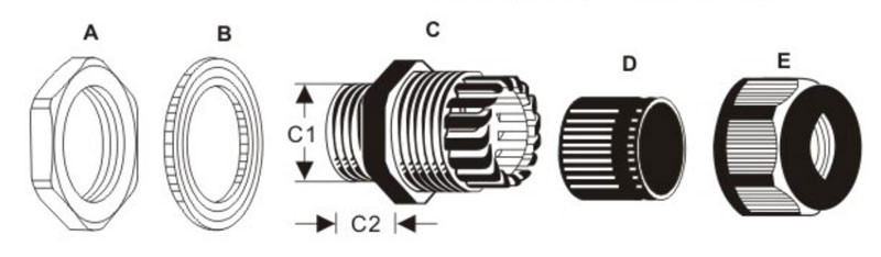 ichnography