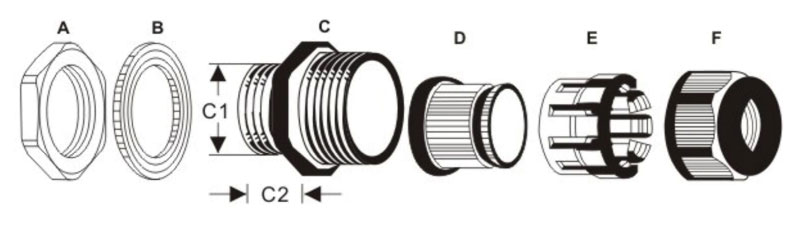 ichnography