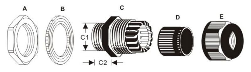 ichnography