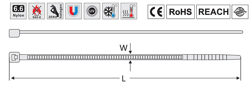 plane figure