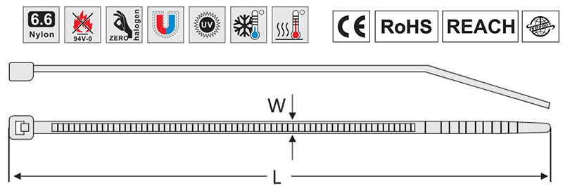 plane figure