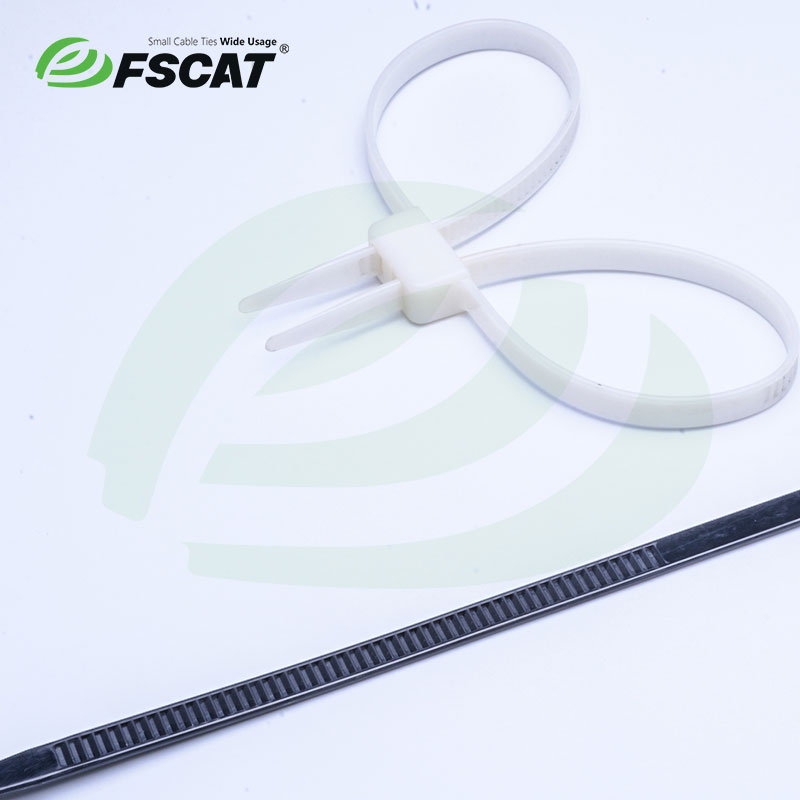 Double Loop Mounting Cable Ties,Mounting Cable Ties - Zhejiang
